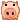 [//pig]